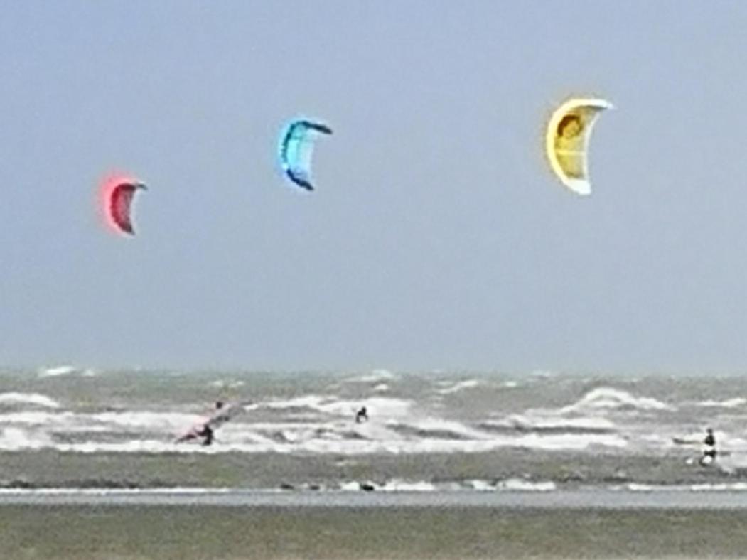 Zeester en koffie. Oostduinkerke-Bad Buitenkant foto